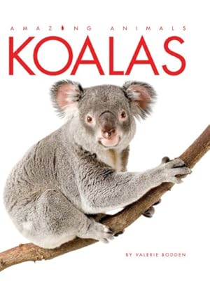 Amazing Animals: Koalas
