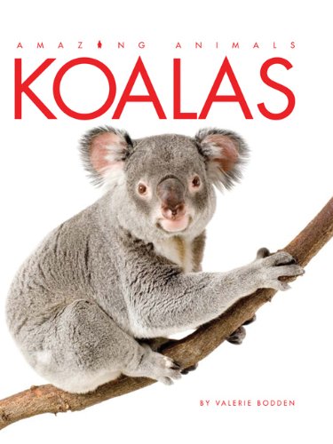 Amazing Animals: Koalas by Valerie Bodden