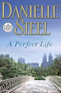 A Perfect Life: A Novel