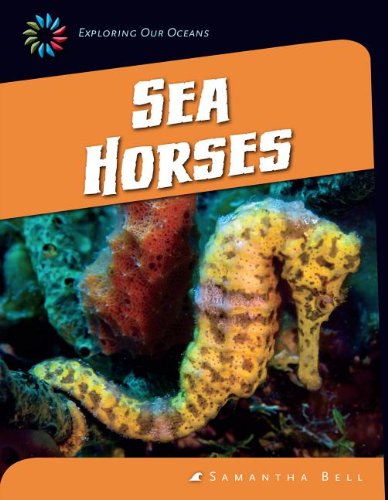 Sea Horses by Samantha Bell