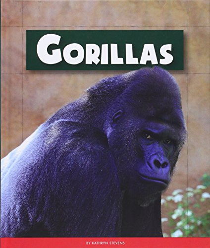 Gorillas by Kathryn Stevens