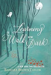 Learning to Walk in the Dark