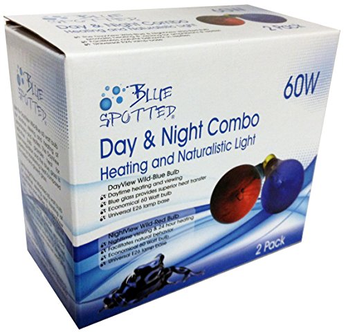Algopix Similar Product 19 - Blue Spotted Day  Night 60 Watt Combo