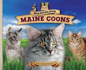 Marvelous Maine Coons