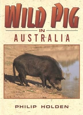 Wild Pig in Australia