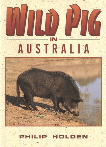 Wild Pig in Australia by Philip Holden