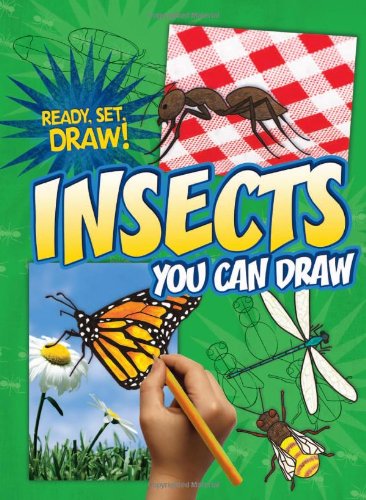 Insects You Can Draw (Ready, Set, Draw!) by Nicole Brecke