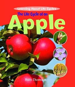 The Life Cycle of an Apple (Learning About Life Cycles)