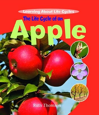 The Life Cycle of an Apple (Learning About Life Cycles)