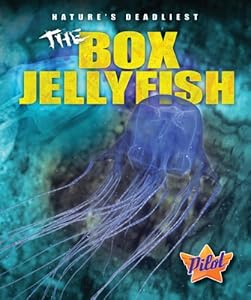 The Box Jellyfish