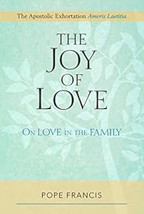 Joy of Love, The: On Love in the Family; The Apostolic Exhortation Amoris Laetitia by Pope Francis