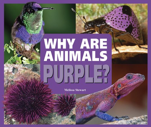 Why Are Animals Purple? (Rainbow of Animals) by Melissa Stewart