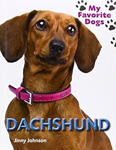 Daschund
