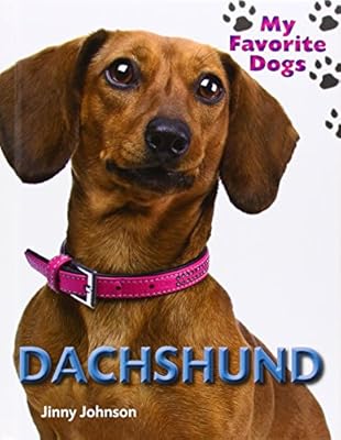 Daschund
