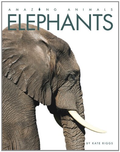 Elephants by Kate Riggs
