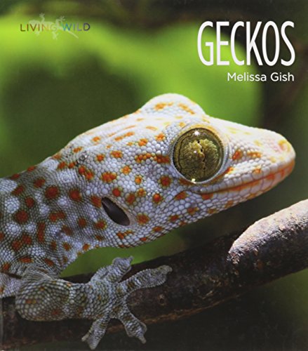 Geckos by Melissa Gish