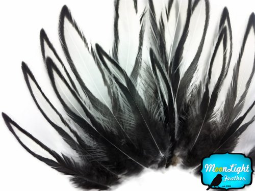 Algopix Similar Product 8 - Hen Feathers Laced Hen  Natural White