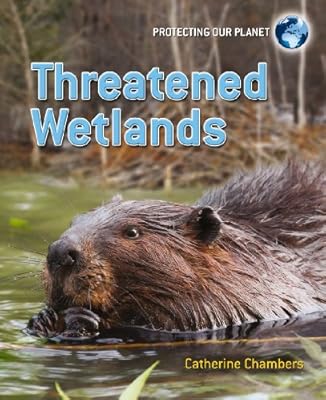 Threatened Wetlands