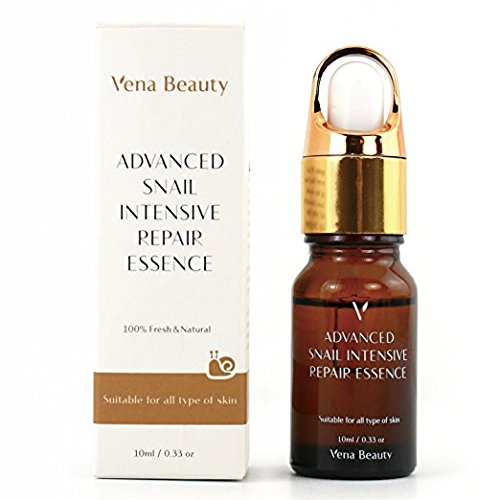 Algopix Similar Product 14 - Dog Lovers Decorative Wooden Wall