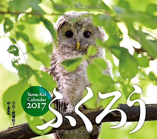 カレンダー2017 ふくろう (ヤマケイカレンダー2017)