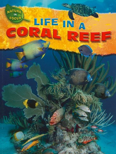 Life in a Coral Reef (Nature in Focus) by Jen Green