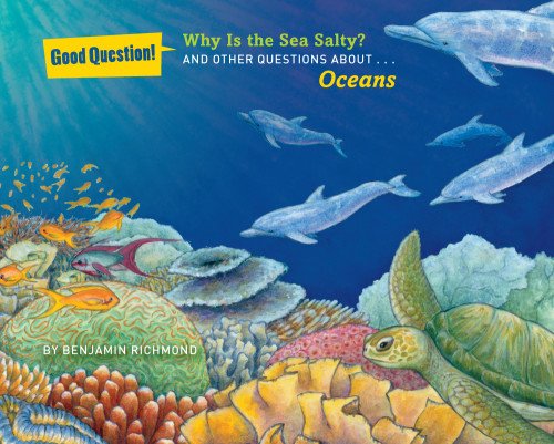 Why is the sea salty? by Benjamin Richmond