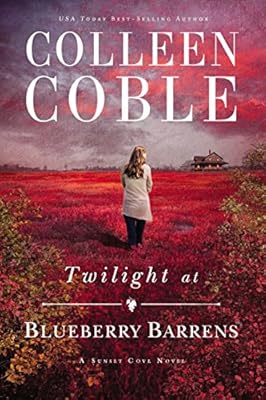 Twilight at Blueberry Barrens