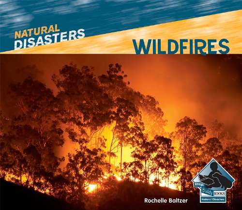 Wildfires by Rochelle Baltzer