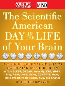 The Scientific American Day in the Life of Your Brain