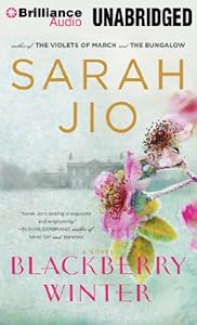 Blackberry Winter: A Novel