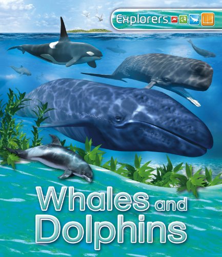 Explorers: Whales and Dolphins by Anita Ganeri