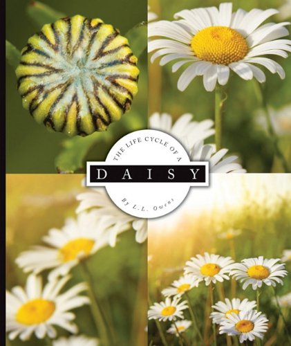 The Life Cycle of a Daisy by L. L. Owens