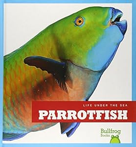Parrotfish