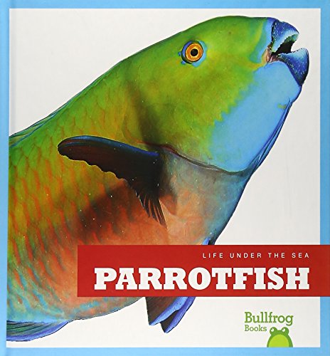 Parrotfish by Cari Meister