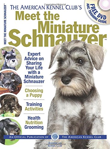 Meet the Miniature Schnauzer by American Kennel Club