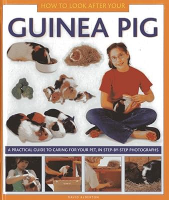 How To Look After Your Guinea Pig: A practical guide to caring for your pet, in step-by-step photographs