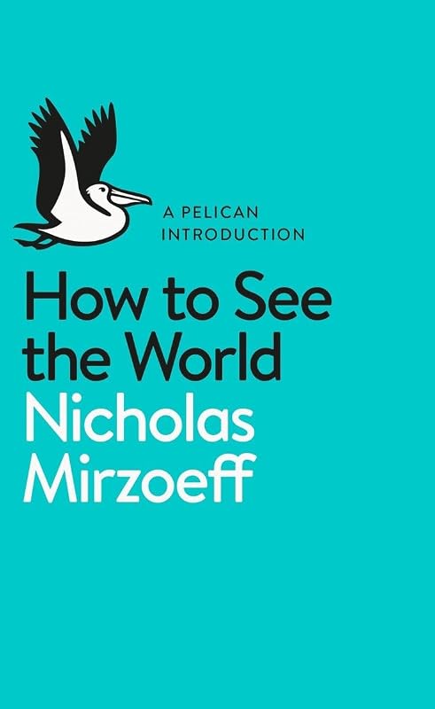 How to See the World by Nicholas Mirzoeff