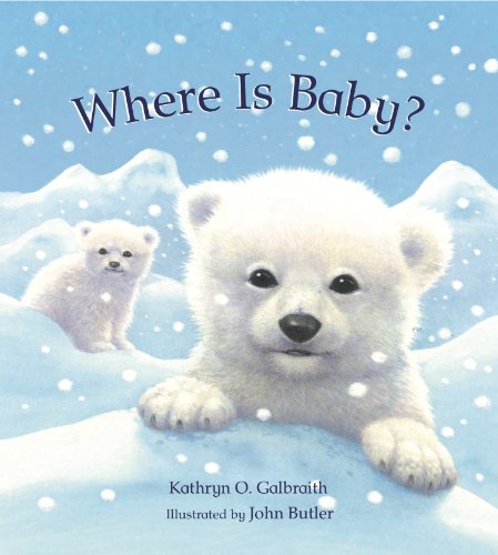 Where Is Baby? by Kathryn O. Galbraith