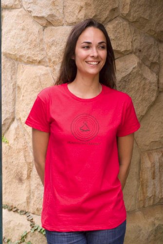 

"Practice the Presence" Organic Womens T-shirt