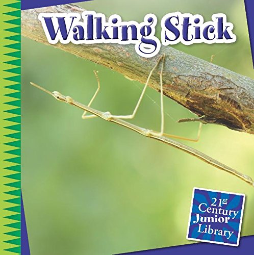 Walking Stick by Tamra Orr