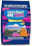 Natural Balance Fat Cats Low Calorie Dry Cat Formula, 15-Pounds