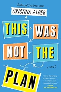 This Was Not the Plan: A Novel