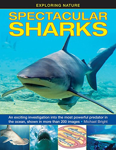 Exploring Nature: Spectacular Sharks: An Exciting Investigation Into The Most Powerful Predator In The Ocean, Shown In More Than 200 Images by Michael Bright