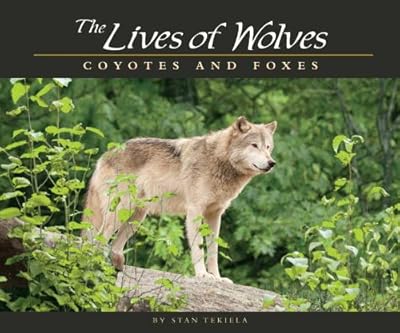 The Lives of Wolves, Coyotes and Foxes