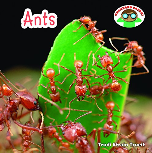 Ants by Trudi Strain Trueit