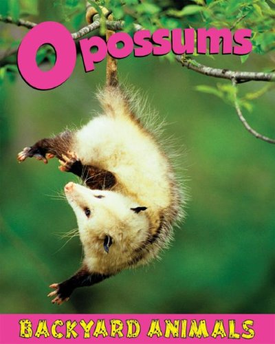 Opossums by Christine Webster
