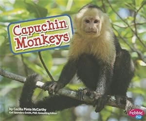 Capuchin monkeys