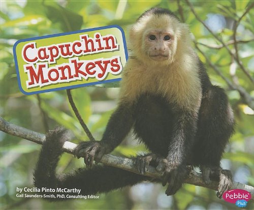 Capuchin monkeys by Cecilia Pinto McCarthy