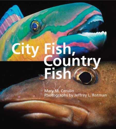 City Fish, Country Fish by Mary M. Cerullo