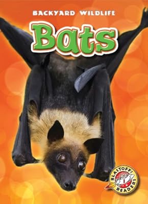 Bats